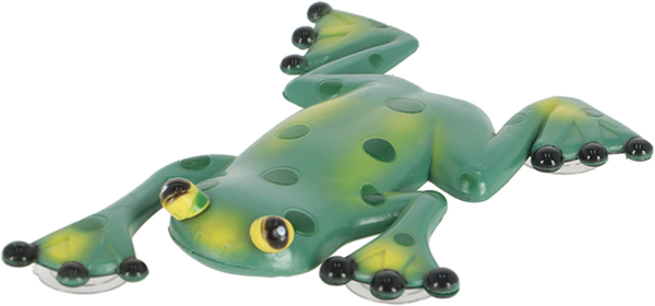 Termometro Rana con Ventosas para Ventana o Cristal